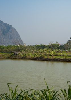A body of water with a mountain in the background
