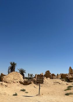 A desert landscape with rocks and a palm tree