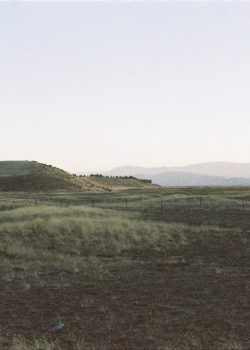 A field with a hill in the distance