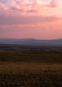 A field with a sky filled with clouds