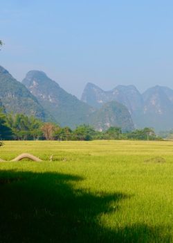 A grassy field with mountains in the background