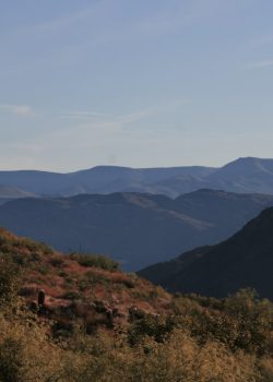 A man riding a horse on top of a lush green hillside