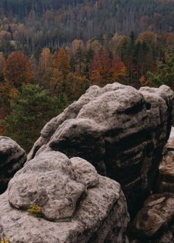 A rocky outcropping with trees in the background