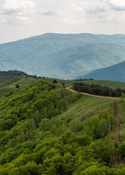 A scenic view of mountains and a road