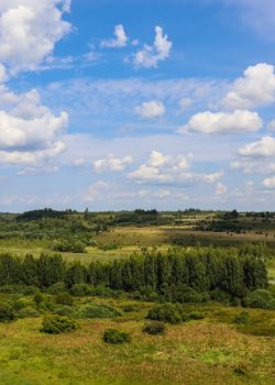 A wide open field with trees and clouds in the sky