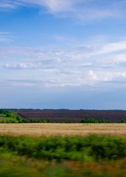 Fields under a cloudy sky.