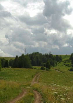 a dirt road going through a lush green field