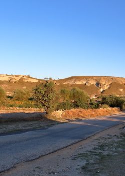 a dirt road with a hill in the background