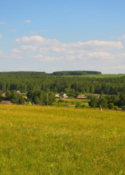 a field of grass with trees in the background with Konza Prairie Natural Area in the background