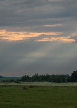 a field with hay bales under a cloudy sky