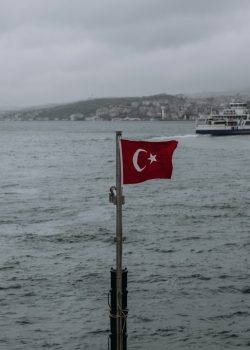a flag on a pole in front of a body of water