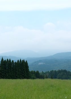 a grassy field with a barn and mountains in the background