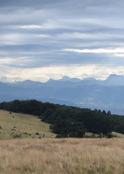 a grassy field with mountains in the background