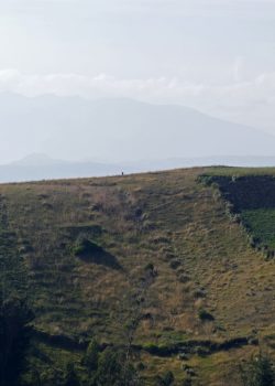 a grassy hill with a few trees on top of it