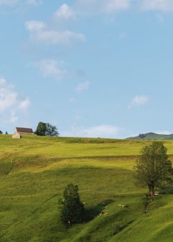 a grassy hill with a house on top of it