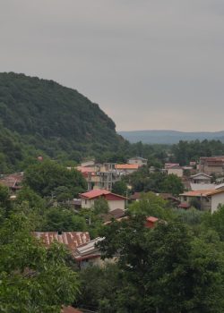 a group of buildings surrounded by trees