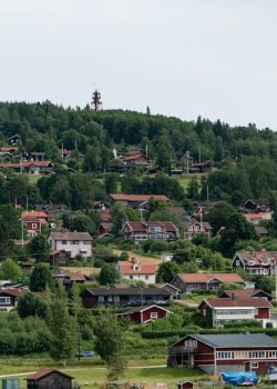 a group of houses on a hill