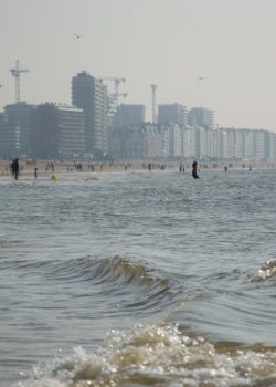a group of people standing on top of a beach next to the ocean