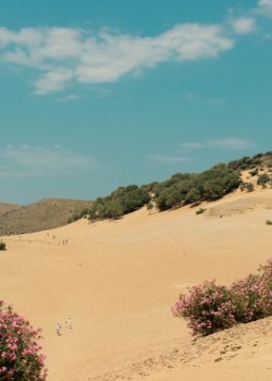 a group of people walking across a sandy field