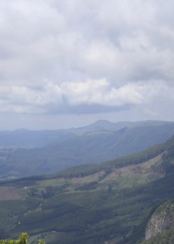 a landscape with hills and trees