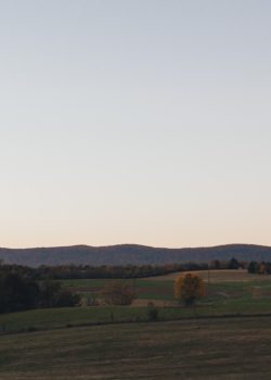 a landscape with trees and hills in the background