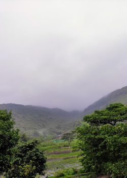 a landscape with trees and hills