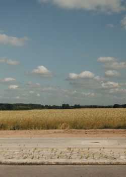 a large field of grass next to a road
