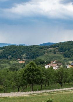 a lush green hillside covered in trees under a cloudy sky
