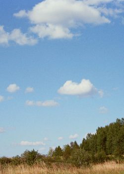 a man is flying a kite in a field