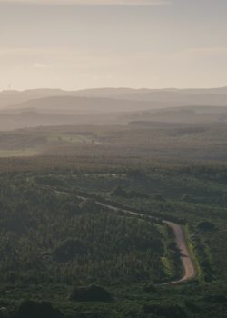 a road winding through a lush green valley