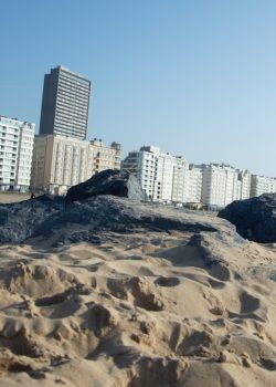 a sandy beach with buildings in the background
