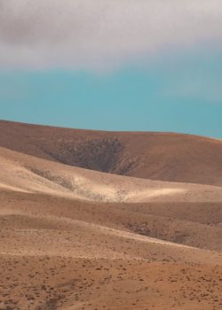 a sandy desert landscape