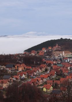 a small town surrounded by trees and fog