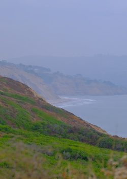 a view of a body of water from a hill