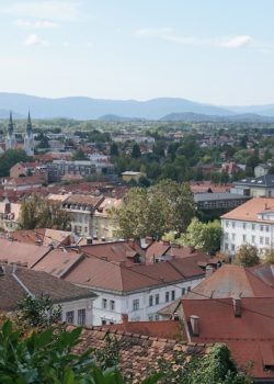 a view of a city from the top of a hill