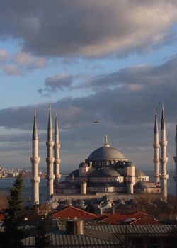 a view of a large building with many spires