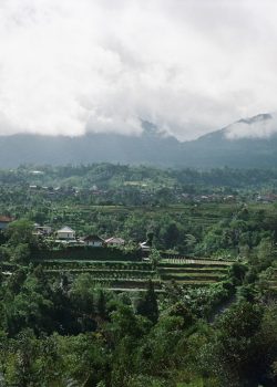 a view of a lush green valley with mountains in the background