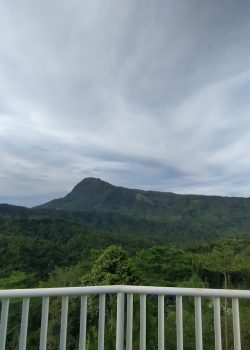 a view of a mountain range from a balcony