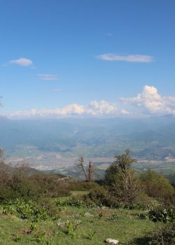 a view of a mountain range with a tree in the foreground