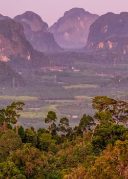 a view of a mountain range with many trees in the foreground