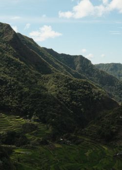 a view of a mountain range with rice terraces in the foreground