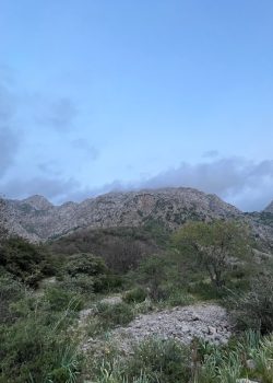 a view of a mountain range with trees and bushes