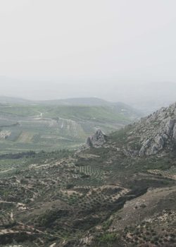 a view of a valley with a mountain in the background