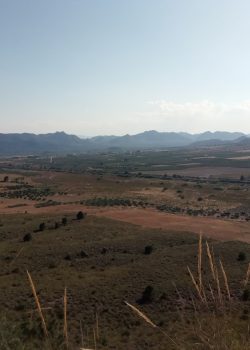 a wide open field with mountains in the background