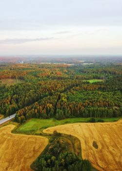 aerial photography of road between trees at daytime