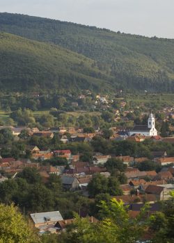 aerial view of city during daytime