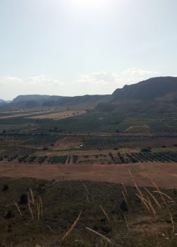 an aerial view of a field with a mountain in the background