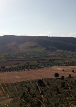 an aerial view of a hilly area with a mountain in the background
