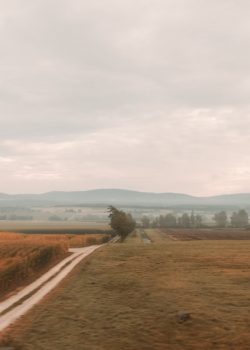 brown dirt road in the middle of brown field during daytime