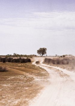 brown field under blue sky during daytime